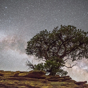 重囗味临盆孕交免费视频播放
